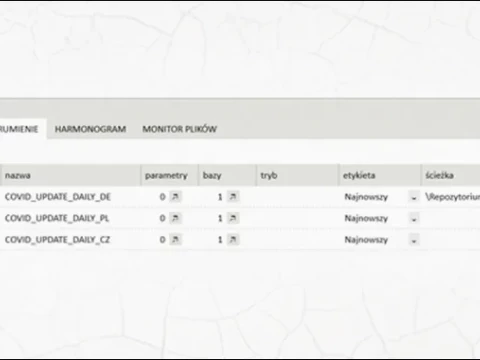 O budowaniu procesów scoringowych w dobie API - kiedy, ile i jakiej elastyczności potrzebujemy? 