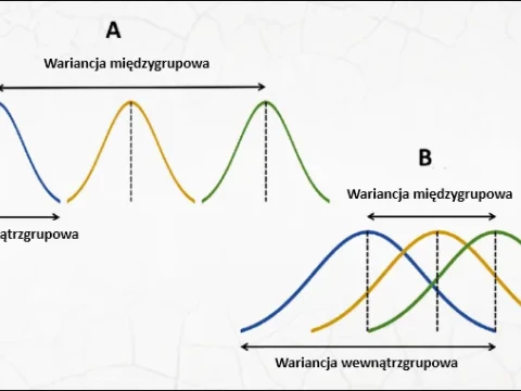 Jednoczynnikowa analiza wariancji (one-way ANOVA)