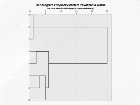 Segmentacja: od grupowania do klasyfikacji