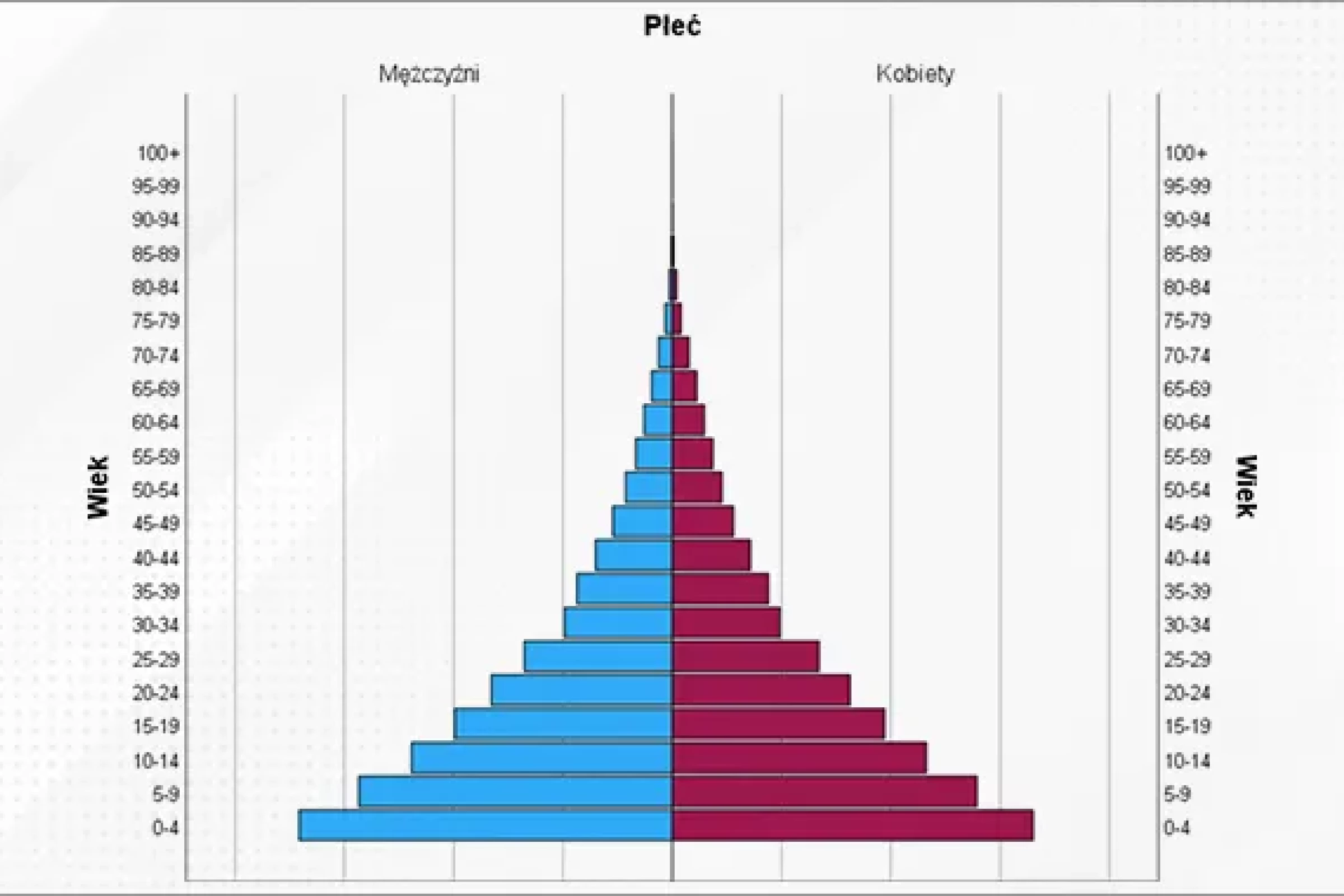 Piramida populacyjna - Predictive Solutions