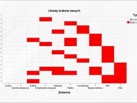Braki danych w ilościowej analizie danych – czym są i jak sobie z nimi radzić?