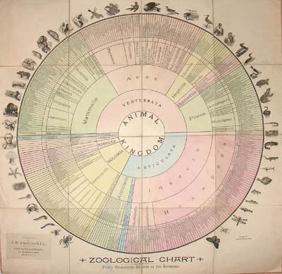Rysunek 2. Klasyfikacja zwierząt wg L. W. Fike. Źródło: Fike L. W., 1890: Zoological Chart – Fike’s Concentric Charts of the Sciences